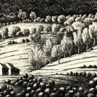 216 ONDULATIONS CREPUSCULAIRES H