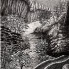 220 APRES LES PLUIES CEVENOLES