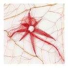 Geneviève Quievreux