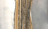 Agnes SERRE
