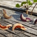 Boucles-dOreille-Bois-inclusion-2-essences-TiP-KrAO