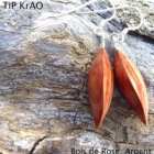 Plumes-bois-de-Rose-TiP-KrAO