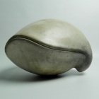 brachiopode