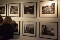 Ligne d'Art 2016