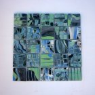 fôret-vierge-24-x-24-cm.