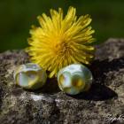 13221495_1222466291104382_6902215278423246847_n