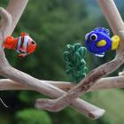 13507245_1246613422023002_1922992313630116254_n